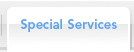 Special Services
